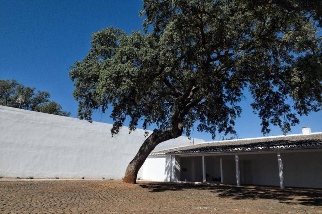 Casa Del Principe Villa Daimiel Eksteriør bilde